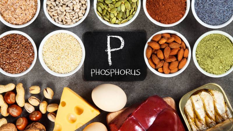 Nồng độ phospho trong máu thường dao động trong khoảng 2,5 - 4,5mg/dL
