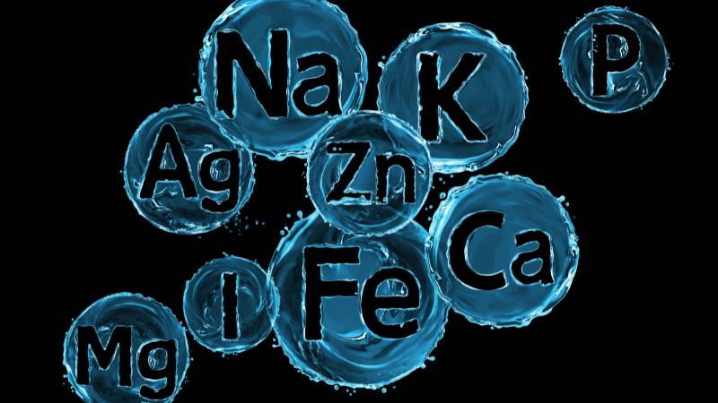 Phospho đảm bảo sự cân bằng khoáng chất trong cơ thể