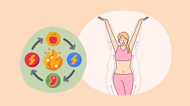 Histidine đóng vai trò quan trọng trong chuyển hóa năng lượng của cơ thể