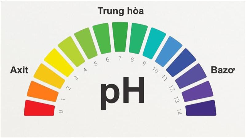 Histidine có thể điều hòa pH trong cơ thể một cách hiệu quả