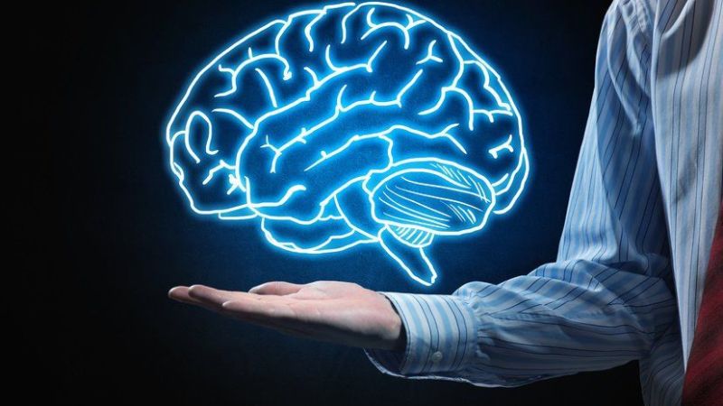 Histidine giúp tăng cường chức năng não ở người cao tuổi