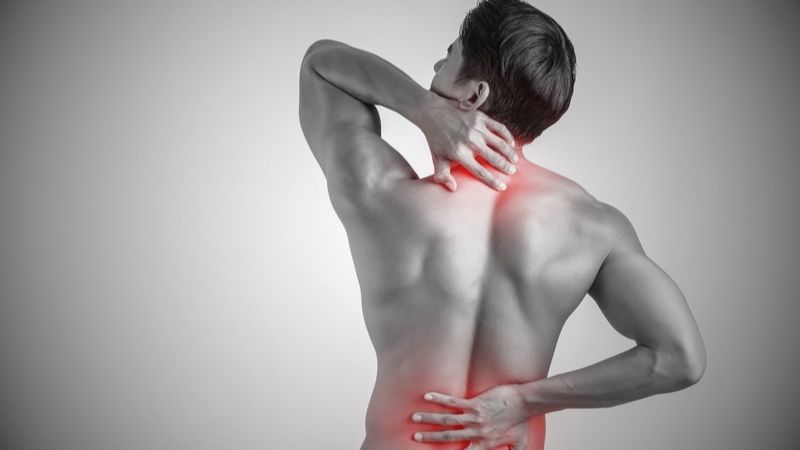 Histidine giúp giảm mệt mỏi cơ bắp trong luyện tập thể thao