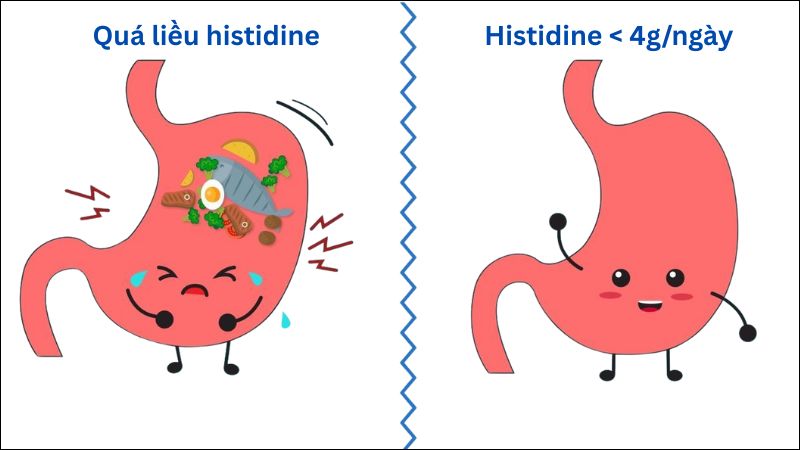 Dùng quá liều histidine có thể gây ra đầy hơi, khó tiêu và giảm hấp thu dinh dưỡng