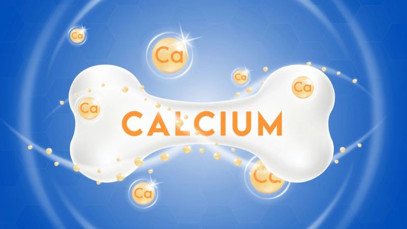 Canxi đóng vai trò quan trọng trong việc duy trì cấu trúc và chức năng xương khớp
