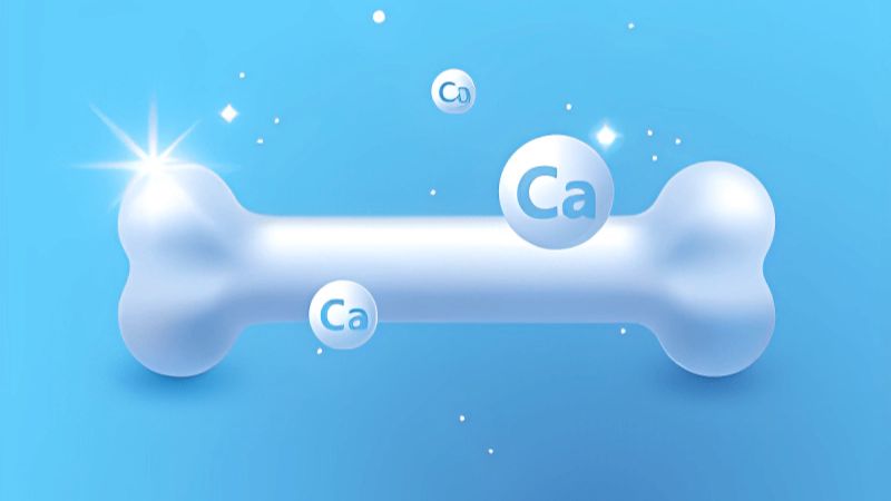 Canxi đóng vai trò quan trọng trong sự phát triển, duy trì, bảo vệ sức khỏe xương và răng