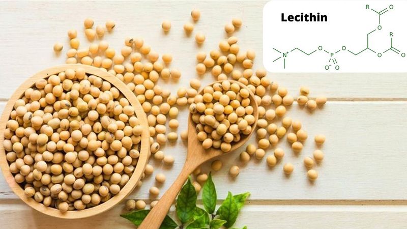 Lecithin là một hỗn hợp chất béo được tìm thấy trong nhiều loại thực phẩm