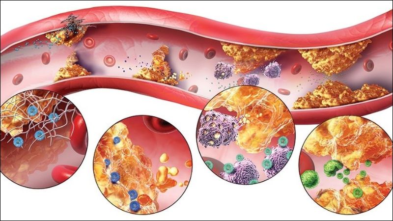Thiếu mangan có thể gây hậu quả nghiêm trọng như rối loạn chuyển hóa 