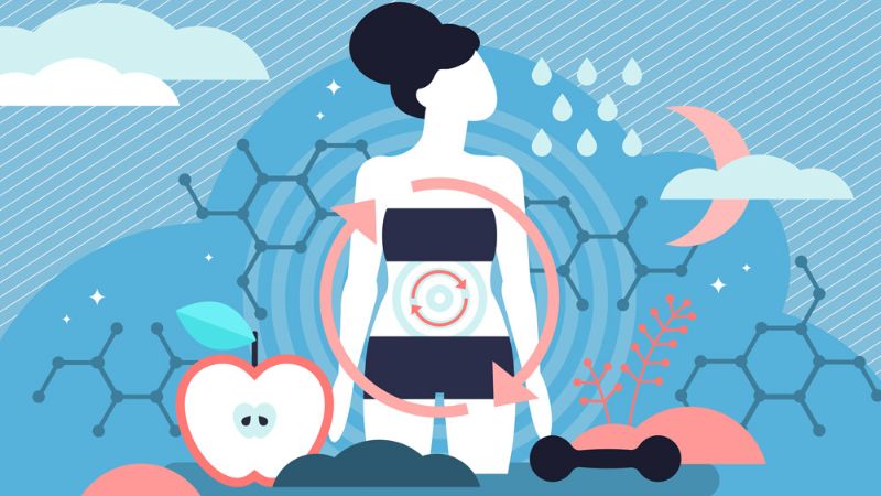 Mangan hỗ trợ nhiều enzyme tham gia vào các quá trình chuyển hóa sinh học trong cơ thể