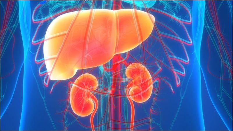 Cần thận trọng khi sử dụng crom liều cao ở những người mắc bệnh thận và gan