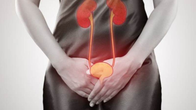 Tinh thể kết tụ thành khối lớn gây đau hoặc tắc nghẽn đường tiết niệu
