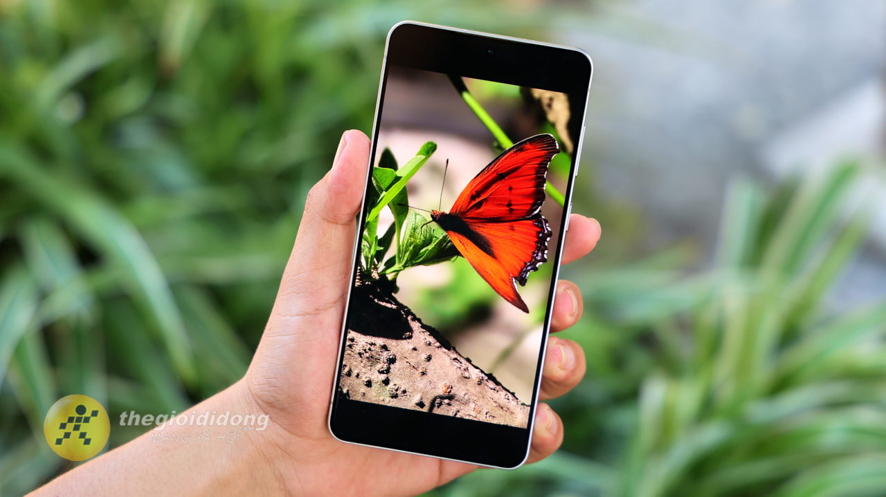 Cách Chụp Ảnh Đẹp Trên Samsung Cách Chụp Ảnh Đẹp Trên Samsung