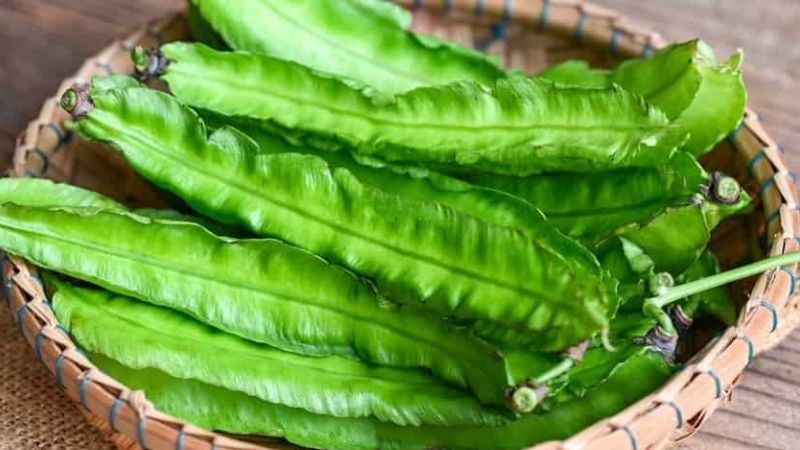 Cứ 100g đậu rồng đã nấu chín cung cấp đến 142mg canxi Cứ 100g đậu rồng đã nấu chín cung cấp đến 142mg canxi