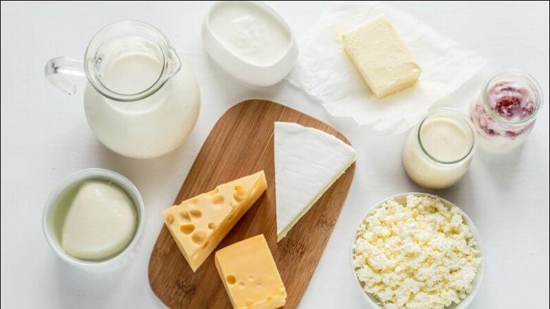 Sữa, sữa chua và phô mai cũng là những nguồn cung cấp taurine phong phú