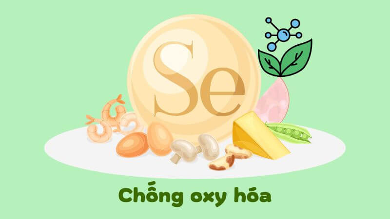 Selen có khả năng trung hòa các gốc tự do dư thừa trong cơ thể Selen có khả năng trung hòa các gốc tự do dư thừa trong cơ thể