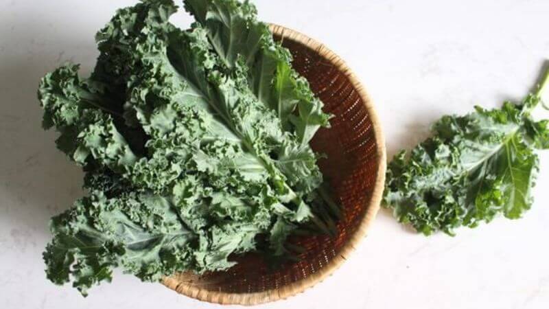Cải xoăn có hàm lượng calorie thấp và chứa nhiều vitamin nhóm B.