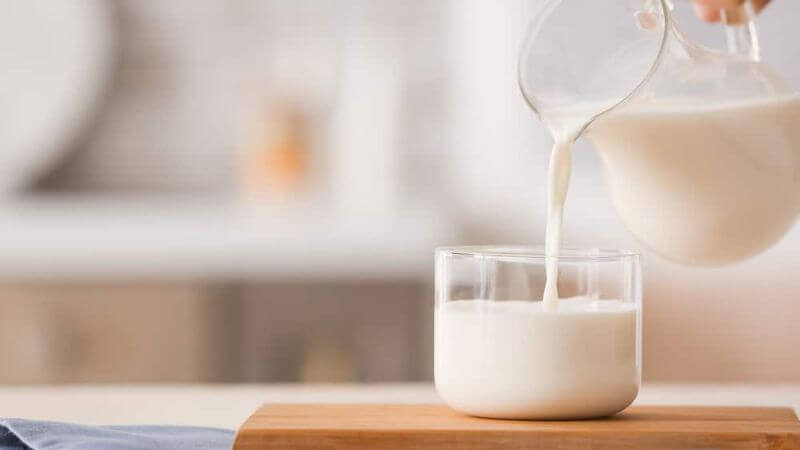 Sữa có chứa lượng vitamin B12 lớn với tỉ lệ hấp thu cao
