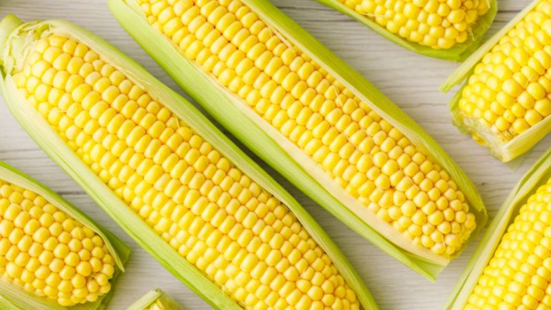 Hàm lượng cao lutein trong ngô tạo nên màu vàng cho loại quả này