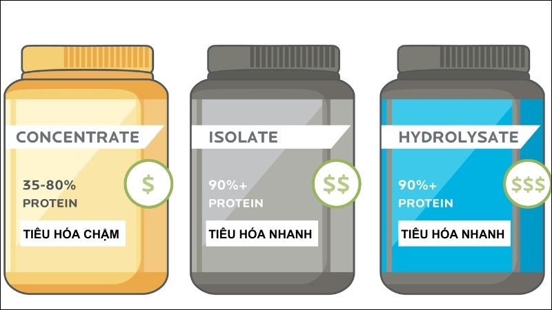 Whey isolate có hàm lượng protein  90% khối lượng