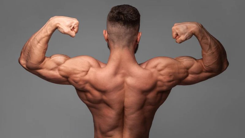 Whey protein rất phù hợp để hỗ trợ quá trình xây dựng và phục hồi cơ bắp