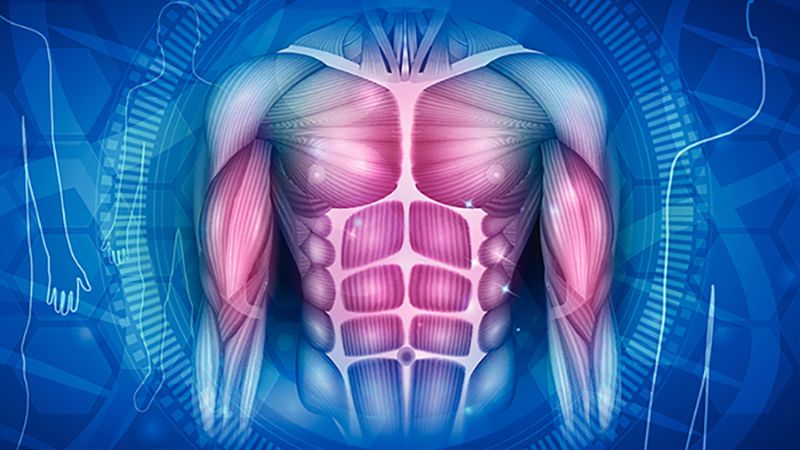 Whey protein giúp tăng khối lượng cơ và giảm mỡ khi kết hợp chế độ luyện tập hợp lý