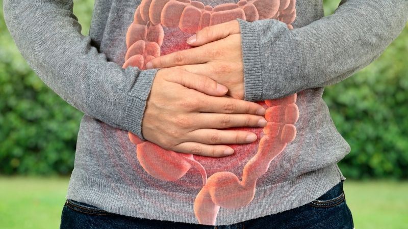 Inulin giúp cân bằng hệ vi sinh đường ruột và giảm triệu chứng của bệnh viêm ruột