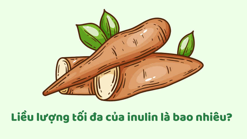 Bộ Nông nghiệp Hoa Kỳ khuyến nghị dùng tối đa 15 - 20g inulin/ngày