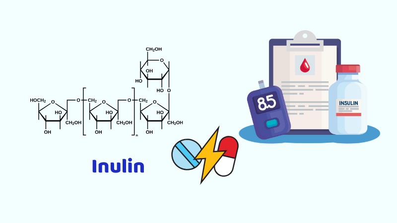 Bạn cần lưu ý tham khảo ý kiến bác sĩ khi sử dụng đồng thời inulin với thuốc làm hạ đường huyết