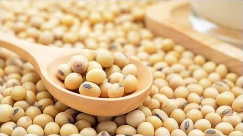 Đậu nành là một trong những thực phẩm cung cấp isoflavone hàng đầu