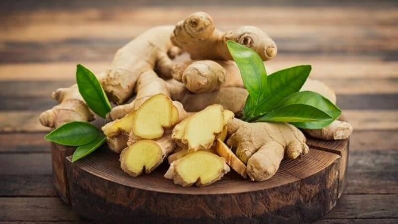 Gừng vừa là một loại cây gia vị vừa là dược liệu Gừng vừa là một loại cây gia vị ẩm thực vừa là dược liệu chữa bệnh