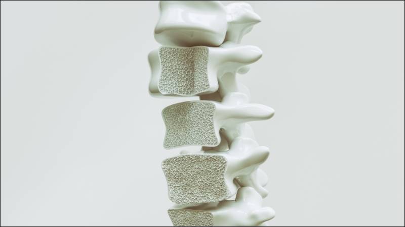 Quả tầm xu&acirc;n c&oacute; thể hỗ trợ điều trị bệnh lo&atilde;ng xương