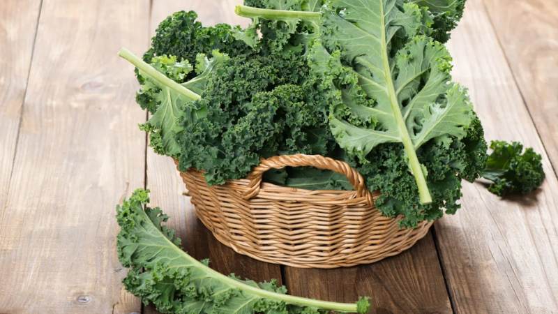 Mỗi 100g cải kale cung cấp khoảng 8mg quercetin
