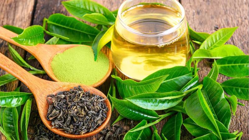 Trà xanh chứa 2,63mg quercetin trên 100 ml có đặc tính chống oxy hóa tuyệt vời