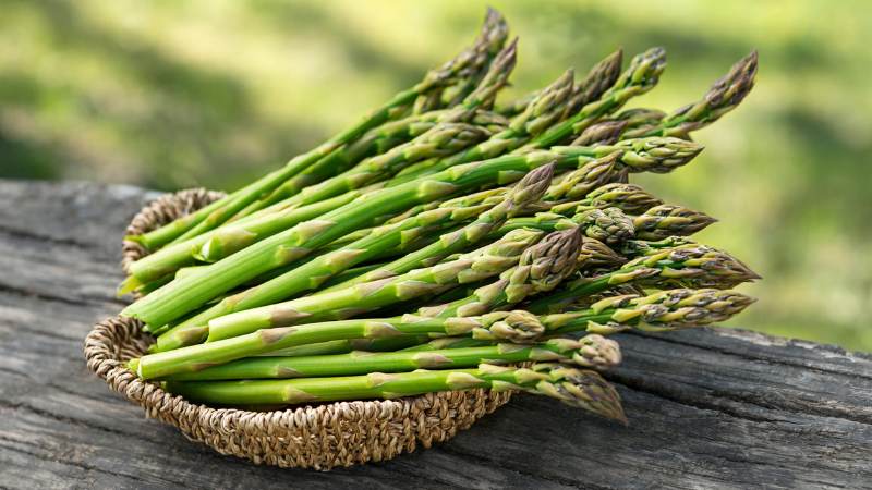 Thực phẩm rau xanh được ưa thích có chứa quercetin cao là măng tây