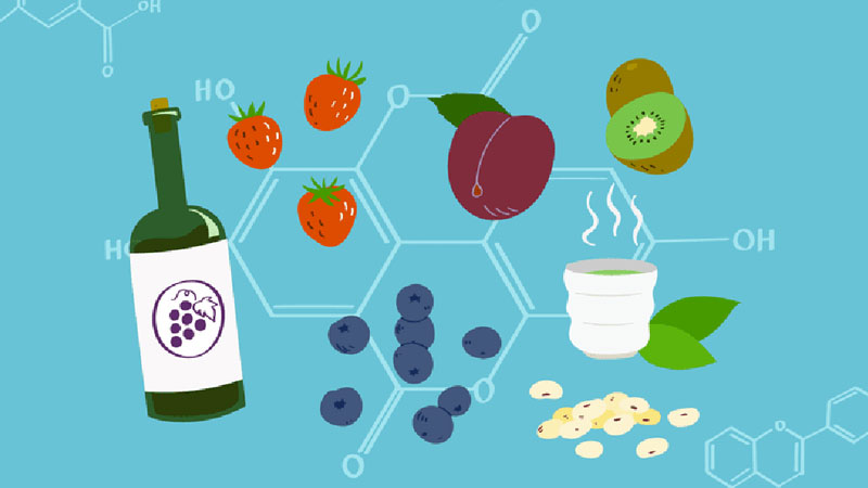 Sử dụng lượng vừa phải polyphenol nhờ vào các loại thực phẩm tự nhiên