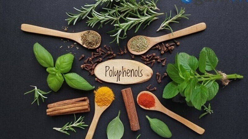 Các loại gia vị và thảo mộc vừa tăng cường hương vị, vừa giàu polyphenol giúp bảo vệ sức khỏe