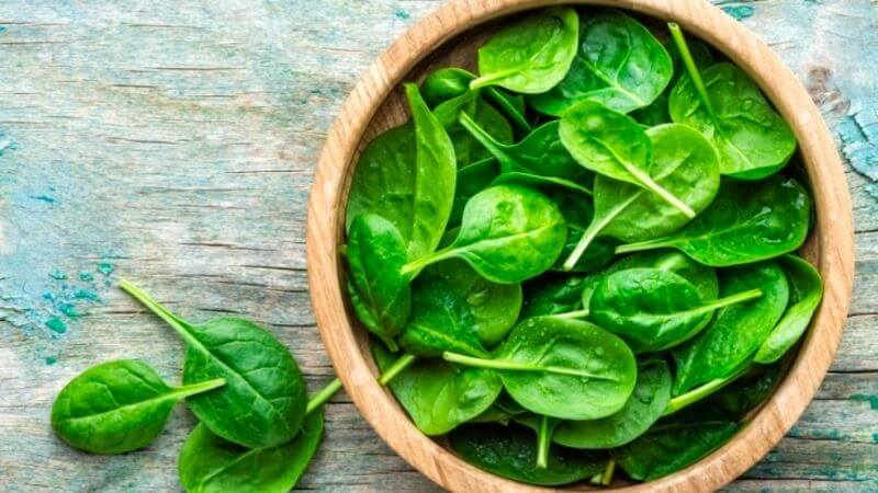 Rau bina là một trong những loại rau xanh chứa lượng polyphenol dồi dào