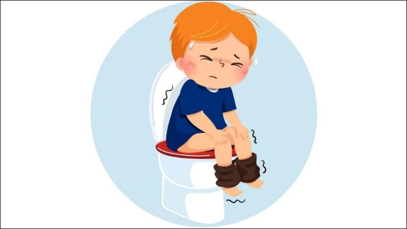 Cây bán hạ hỗ trợ điều trị tiêu chảy