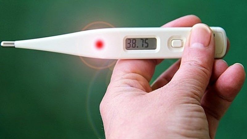Bản lam căn có mặt trong bài thuốc hạ sốt