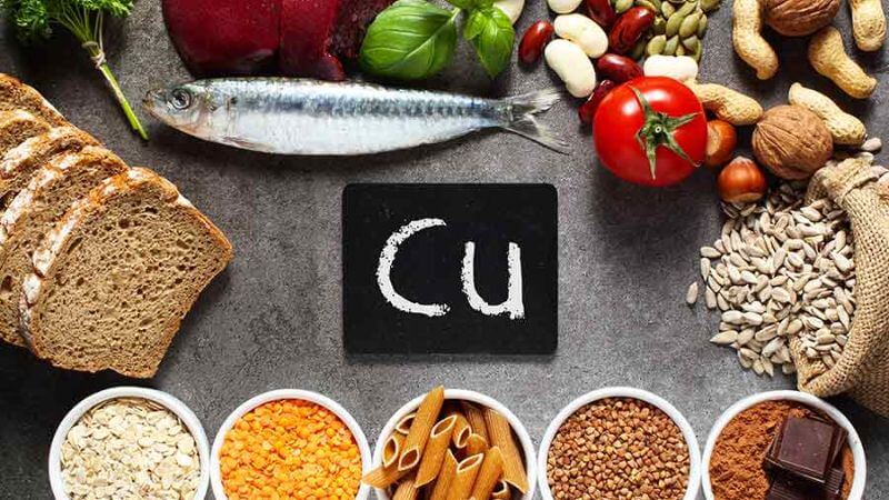 Đồng có vai trò sản xuất năng lượng cho cơ thể
