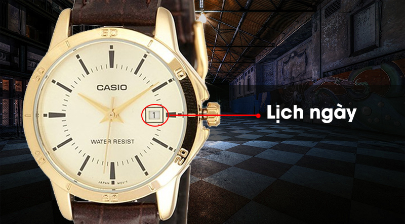Đồng hồ CASIO 30.2 mm Nữ LTP-V004GL-9AUDF