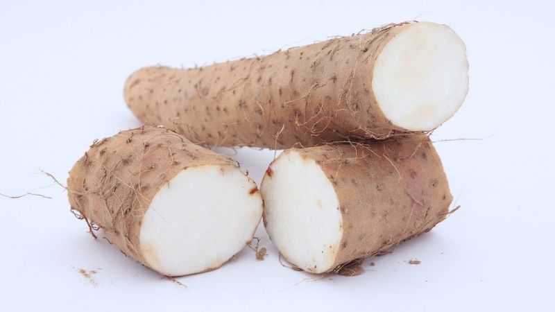 Hoài sơn có tên khoa học là Dioscorea persimilis Prain et Burk., thuộc họ Củ nâu (Dioscoreaceae)