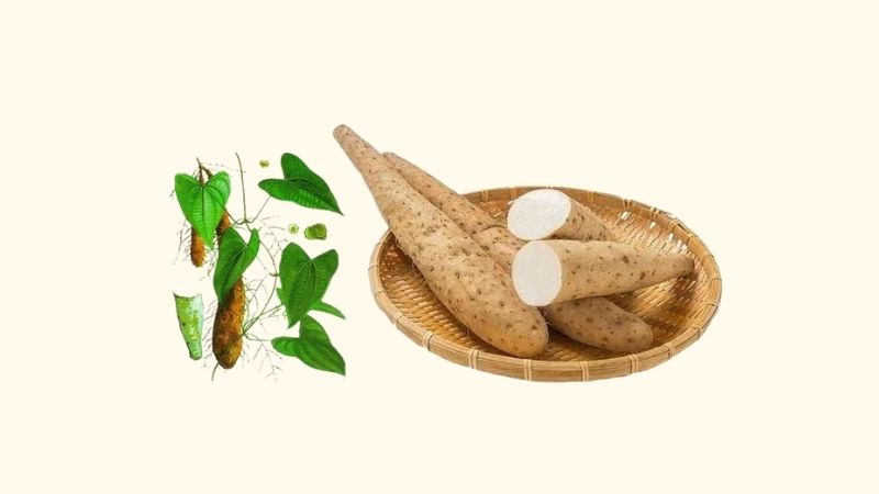 Hoài sơn là vị thuốc bổ thường xuyên được sử dụng trong các bài thuốc cổ truyền