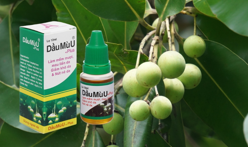 Dầu mù u Plus làm mềm da, giảm khô da chai 12ml Dầu mù u Plus làm mềm da, giảm khô da chai 12ml