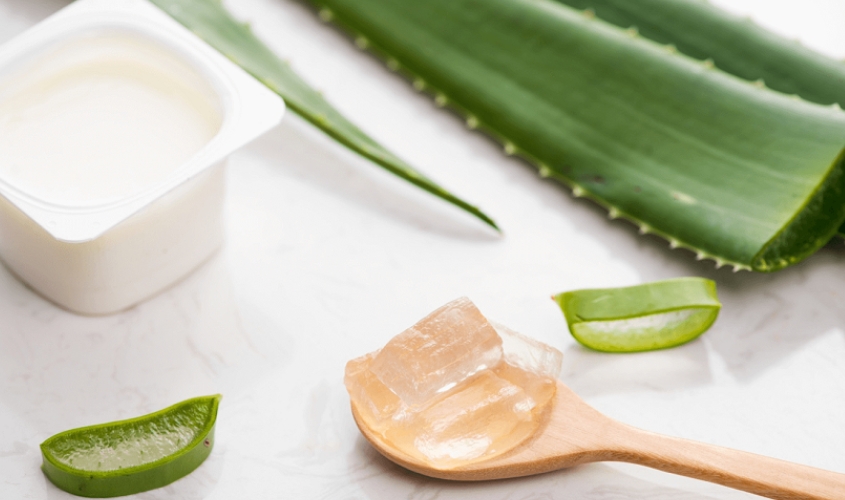 Đắp mặt nạ sữa chua không đường với nha đam