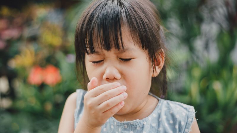 Cỏ mần trầu hỗ trợ cải thiện hen suyễn