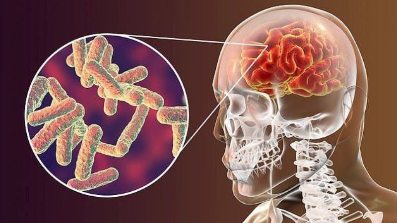 Cỏ mần trầu được sử dụng trong bài thuốc phòng viêm não truyền nhiễm