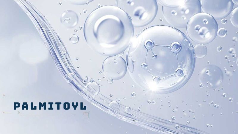 Phần cỏ mọc trên mặt đất được phát hiện thành phần của palmitoyl