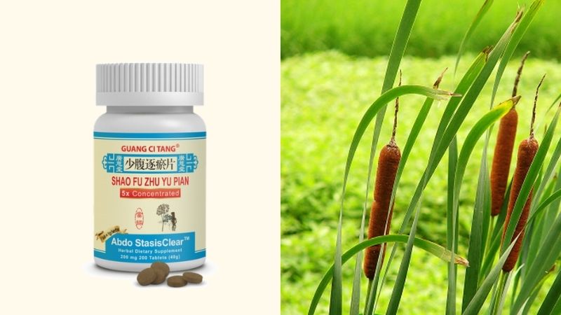 B&agrave;i thuốc Shao Fu Zhu Yu chứa cỏ nến c&oacute; t&aacute;c dụng giảm đau r&otilde; rệt