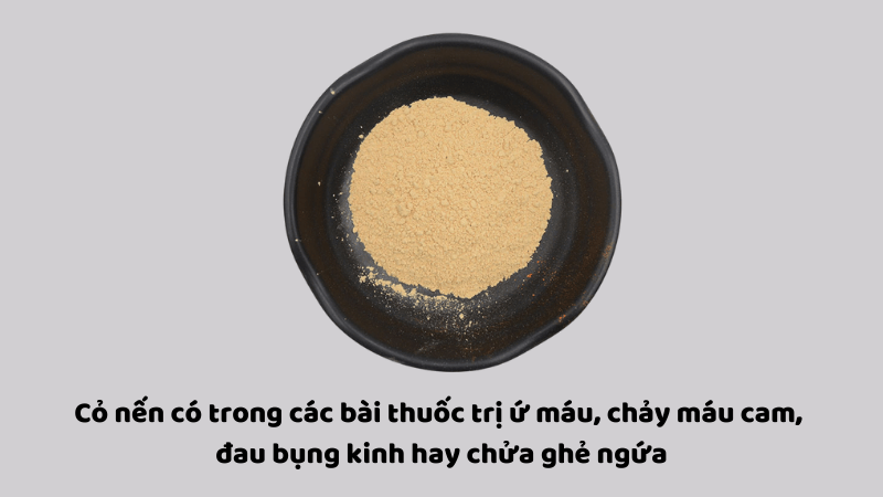 Phấn hoa cỏ nến (bồ ho&agrave;ng) được sử dụng phổ biến trong c&aacute;c b&agrave;i thuốc gi&uacute;p cầm m&aacute;u, trị ứ huyết