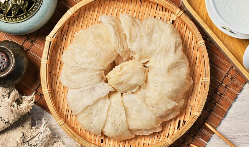 hình ảnh của tổ yến hay yến sào